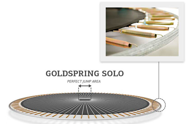 48 GoldSpring Solo veren