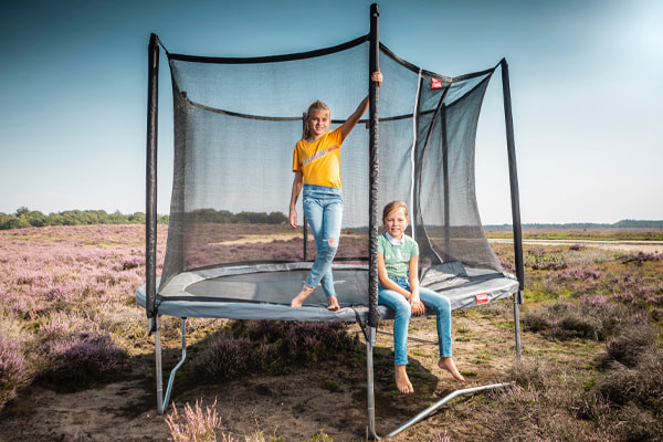 Voorbeeld grijze variant