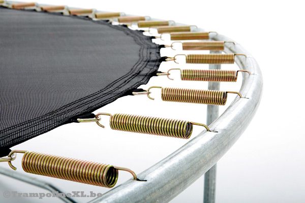 Met 54 GoldSpring Talent veren.