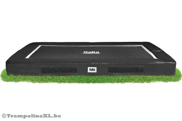 Staat prachtig in elke tuin.